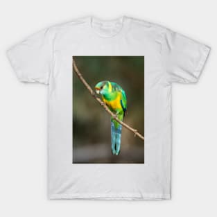 Mallee Ringneck Parrot T-Shirt